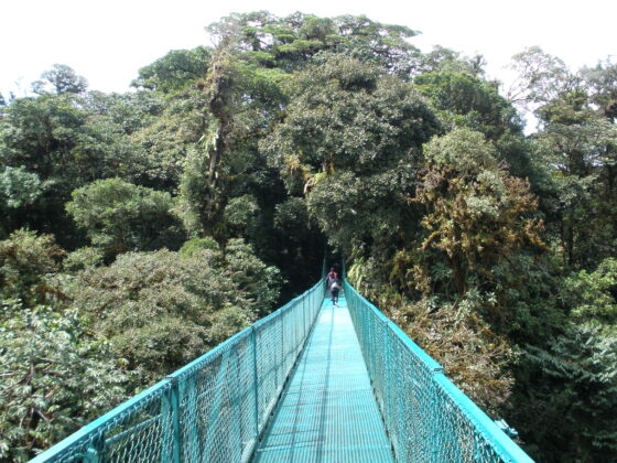 #enfoca propósito #finenmente #propósito #noeliabermudez