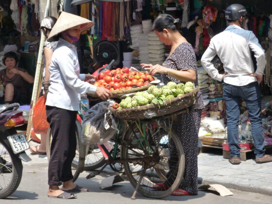 #ganen #noeliabermudez