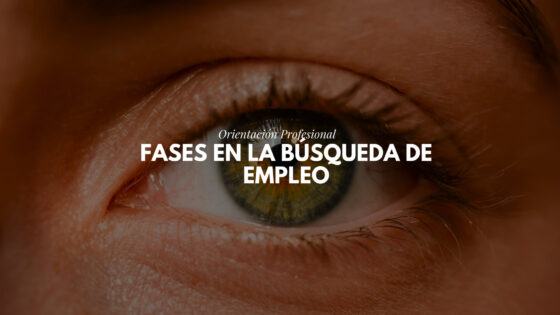 Fases en la búsqueda de empleo Fases en la búsqueda de empleo