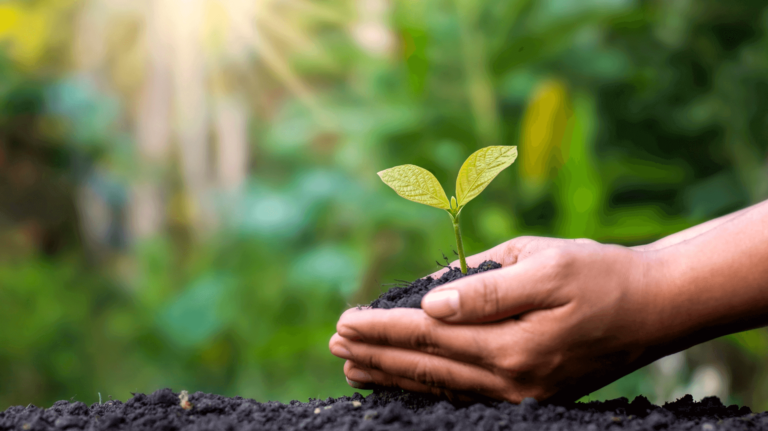 conciencia ecológica